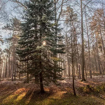 Jelonek Zdroj Apartmán