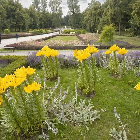 Jelonek Zdroj * Polanica-Zdrój