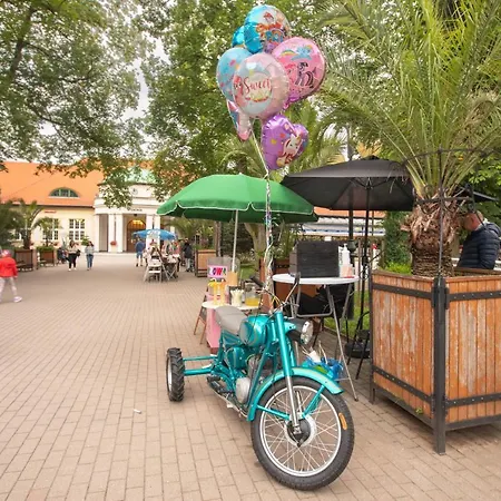 Jelonek Zdroj Polanica-Zdrój