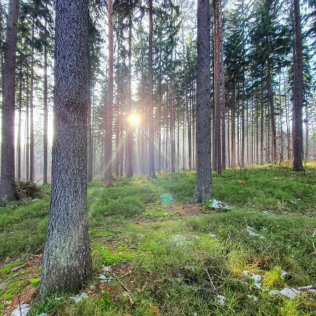 Jelonek Zdroj Polanica-Zdrój