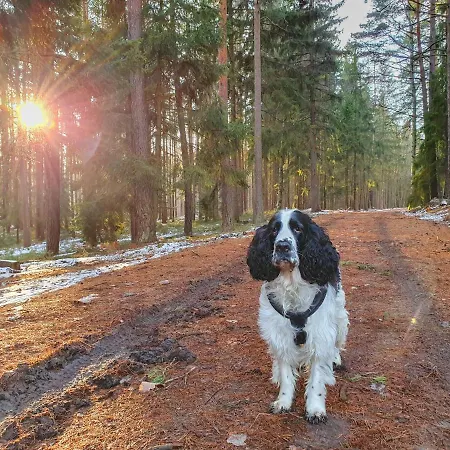 Lejlighed Jelonek Zdroj