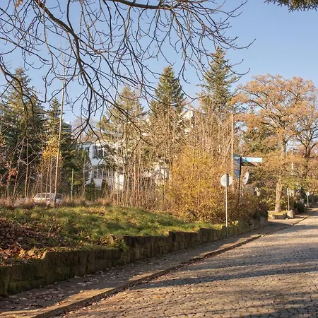 Jelonek Zdroj * Polanica-Zdrój