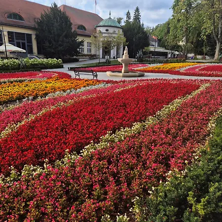 Apartmán Jelonek Zdroj Polanica-Zdrój