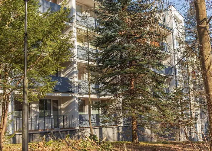 Jelonek Zdroj * פולניסה-ז'דוז'