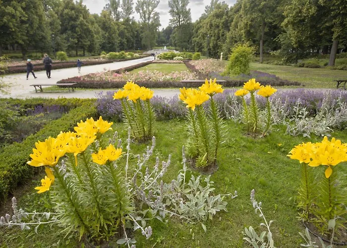 Jelonek Zdroj * 폴라니카-즈루이