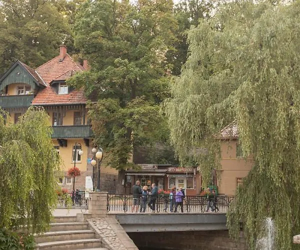 Jelonek Zdroj דירה פולניסה-ז'דוז'