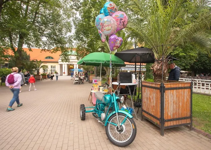 Jelonek Zdroj 폴라니카-즈루이