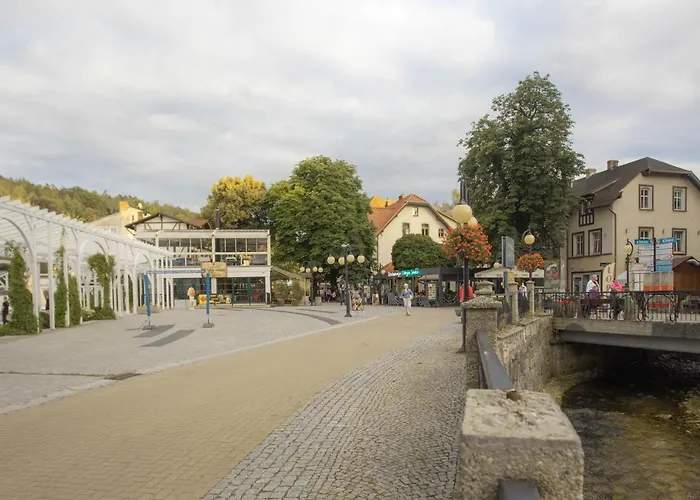 Jelonek Zdroj 아파트 *