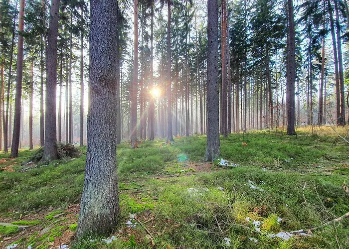 Jelonek Zdroj פולניסה-ז'דוז'