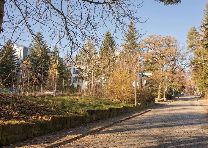 Jelonek Zdroj * פולניסה-ז'דוז'