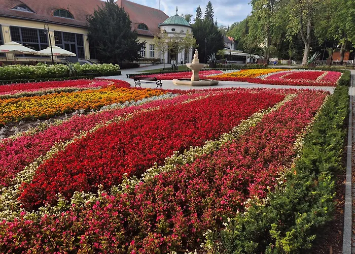 아파트 Jelonek Zdroj 폴라니카-즈루이