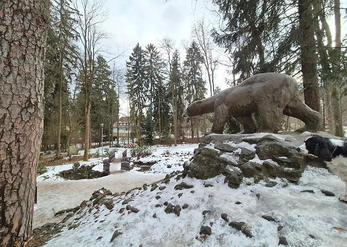 Jelonek Zdroj 폴라니카-즈루이